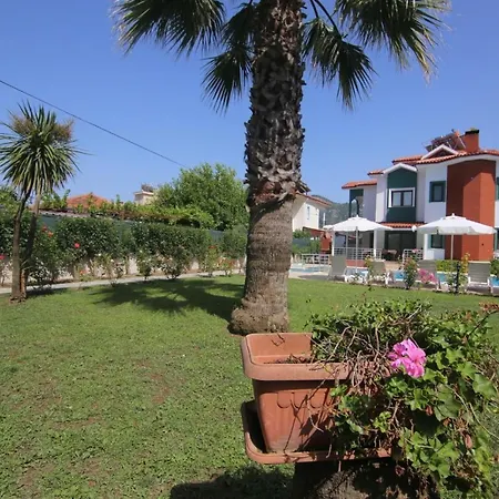 Duman Dalyan 무글라